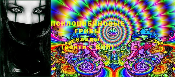 молекула духа Алексеевка