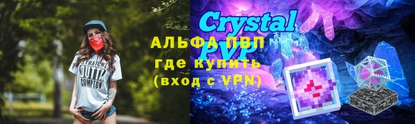 амф Алексин